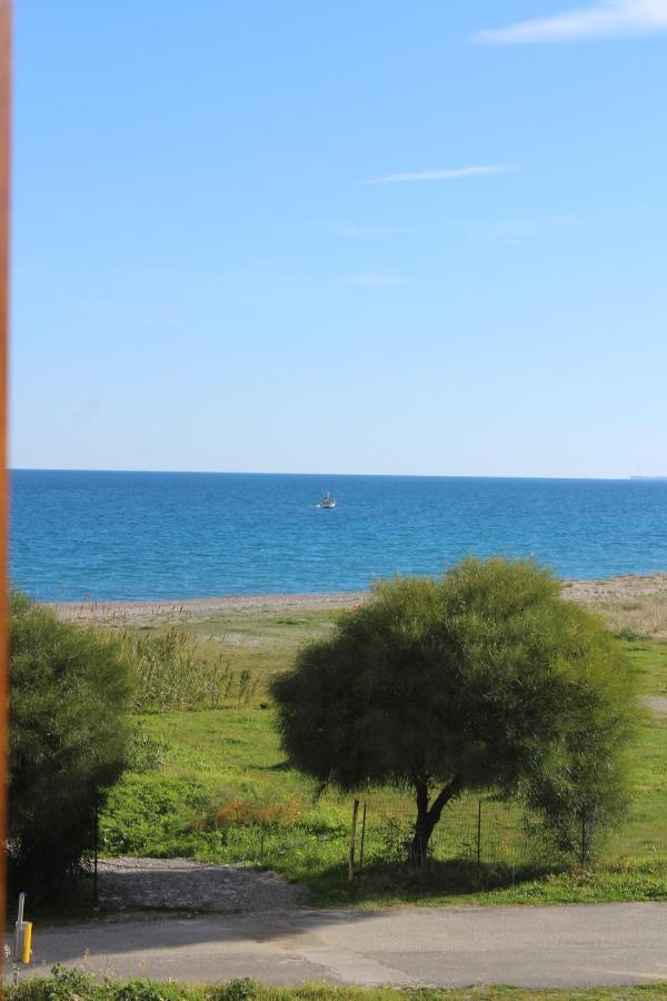 Villa El Sa Calopezzati Екстер'єр фото